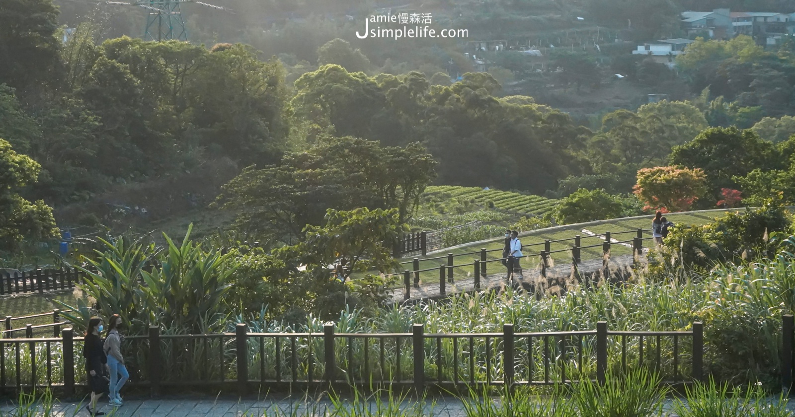 貓空沏茶吃美饌！瞭望大台北景點、茶餐廳咖啡館一次看