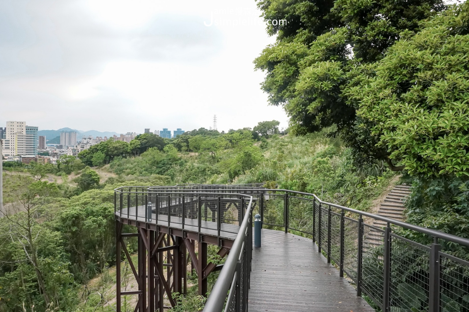 台北文山森林公園 樹梢步道