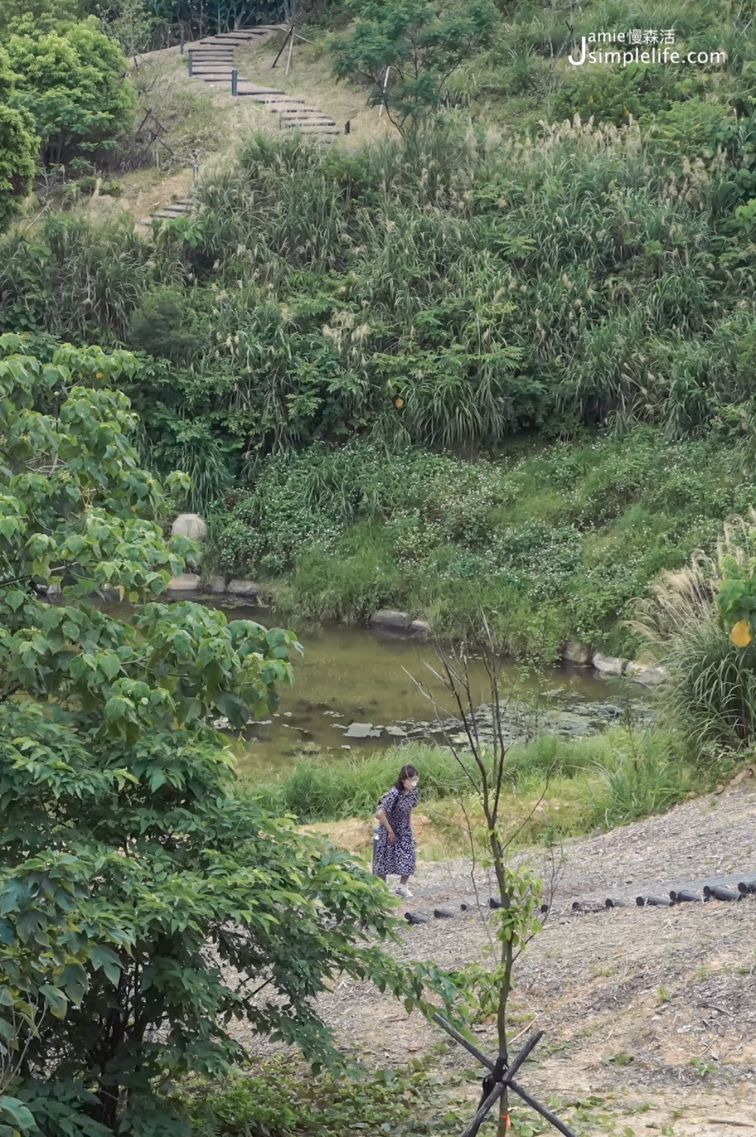 台北文山森林公園 生態滯洪池