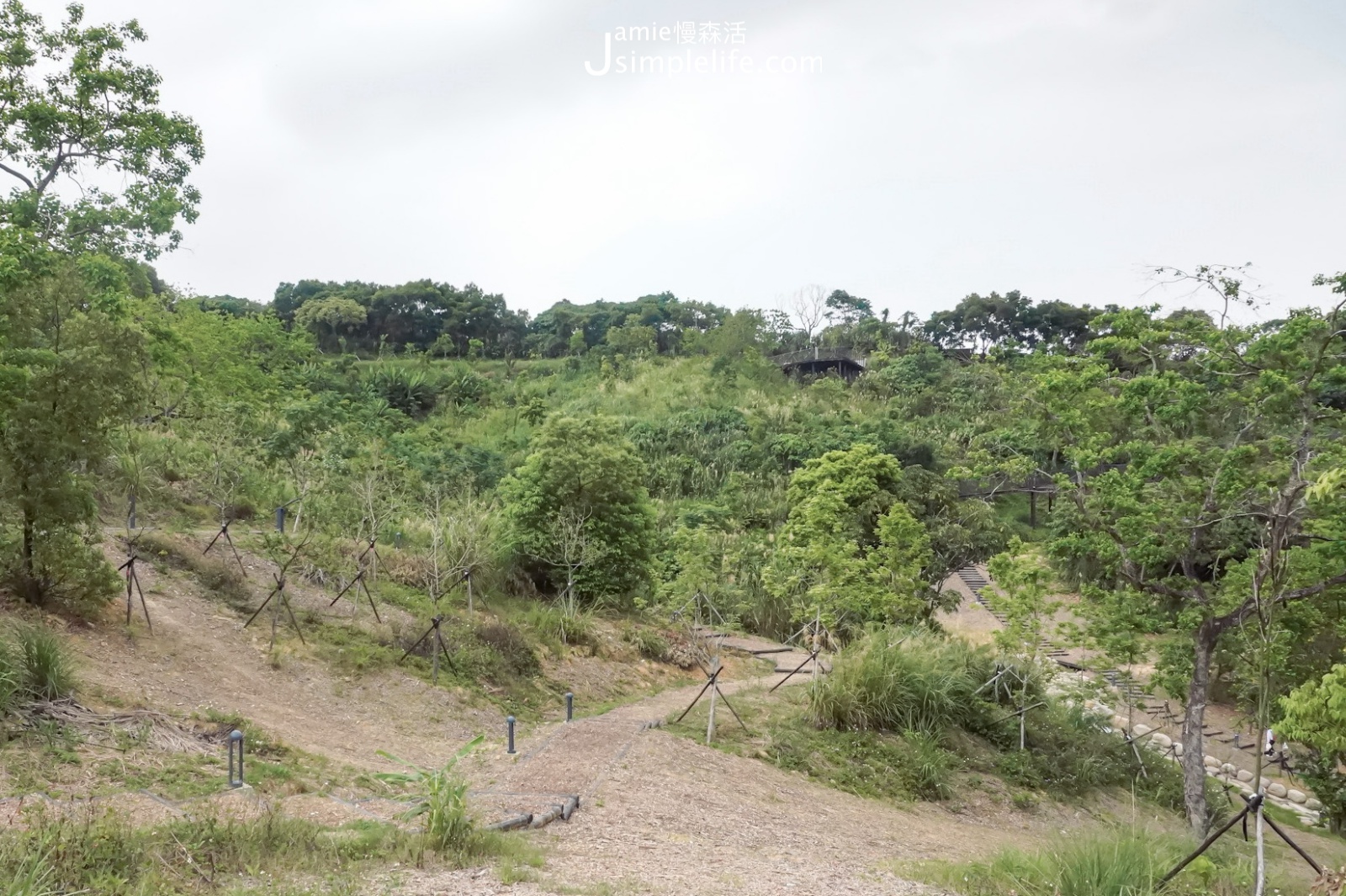 台北文山森林公園 擴景平台