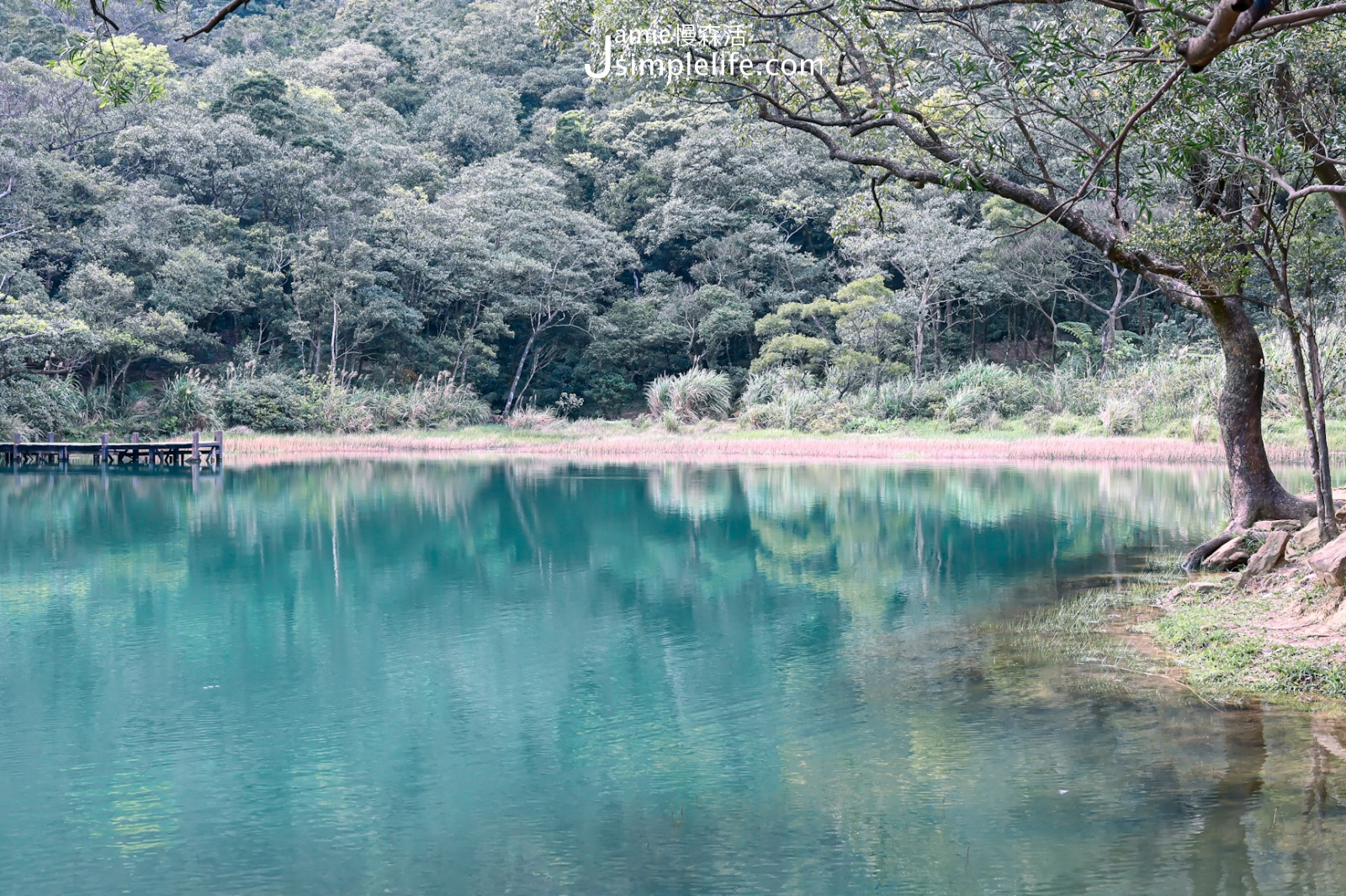 汐止區｜新山夢湖步道