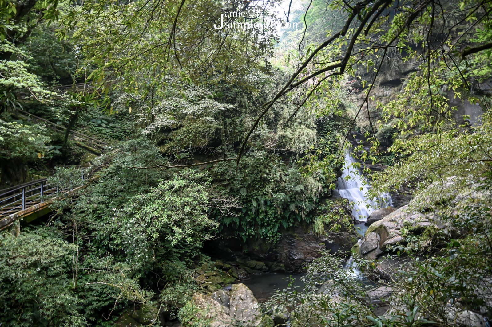 三峽區｜滿月圓國家森林遊樂區