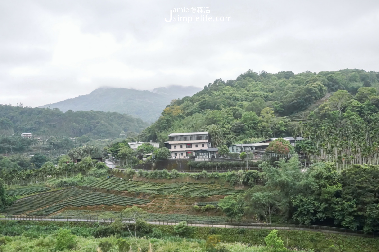 24小時玩新北！體驗雨天漫步坪林景點、茶飲美食小旅行