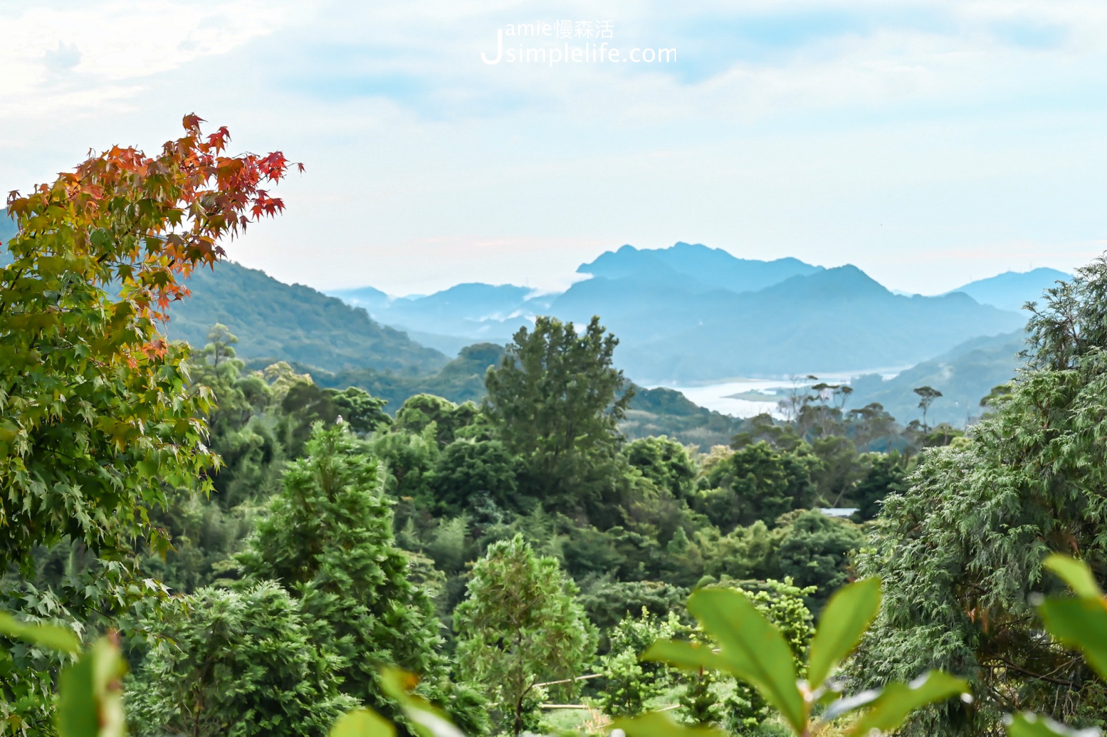 桃園風景