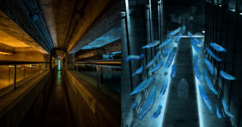 台北觀音山蓄水池變身地下博物館！「獵島計畫」10月開展