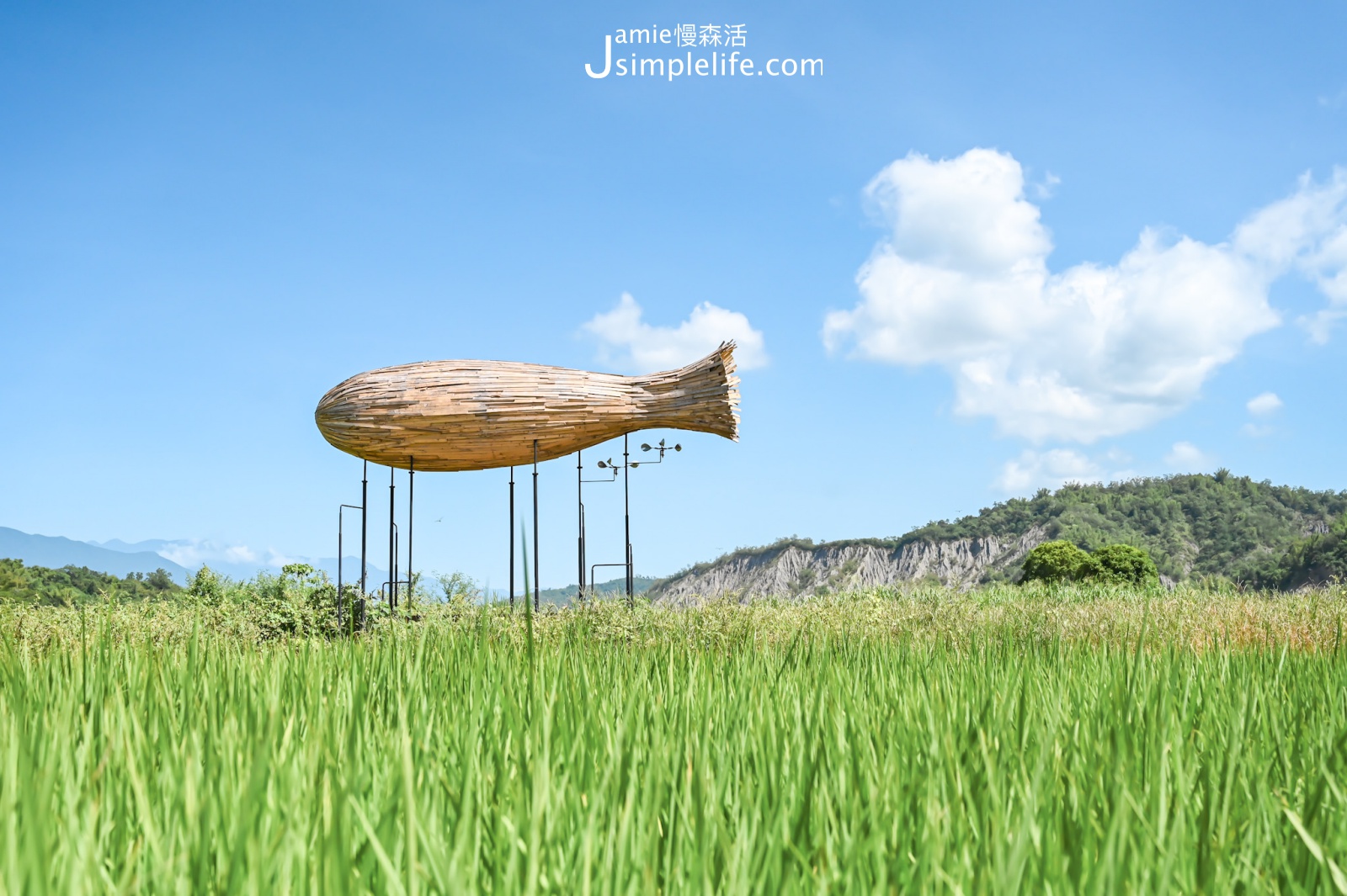 台東2022縱谷大地藝術季-漂鳥197 作品：在一朵像魚的雲下看風景