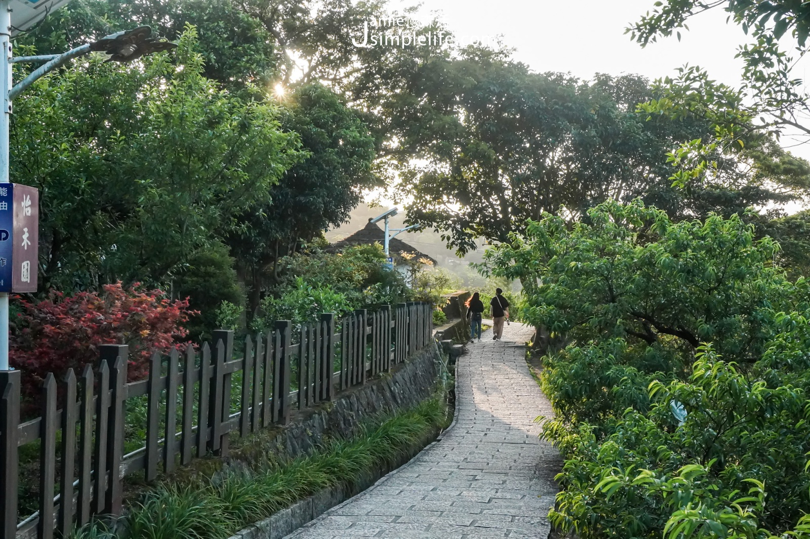 台北文山區貓空 樟樹步道