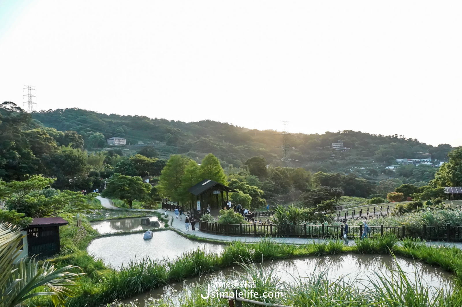 走靜貓空！體驗台北「里山川」系列活動茶文小旅行