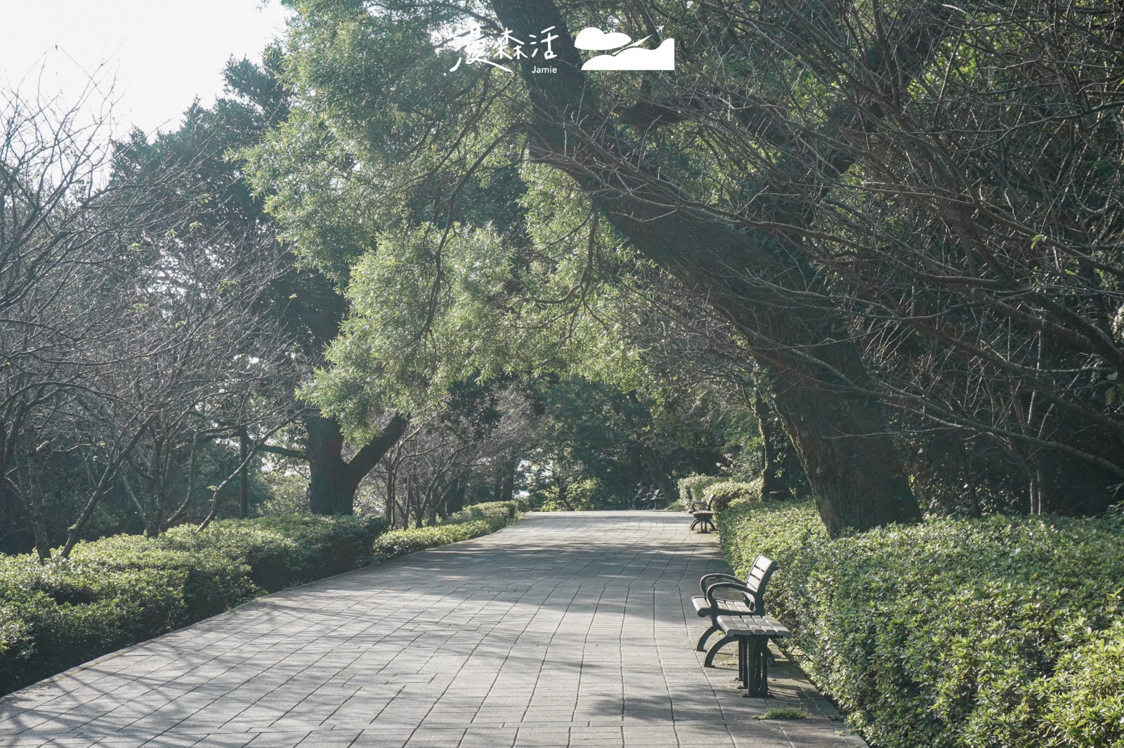 台北陽明山 前往陽明山花鐘步道