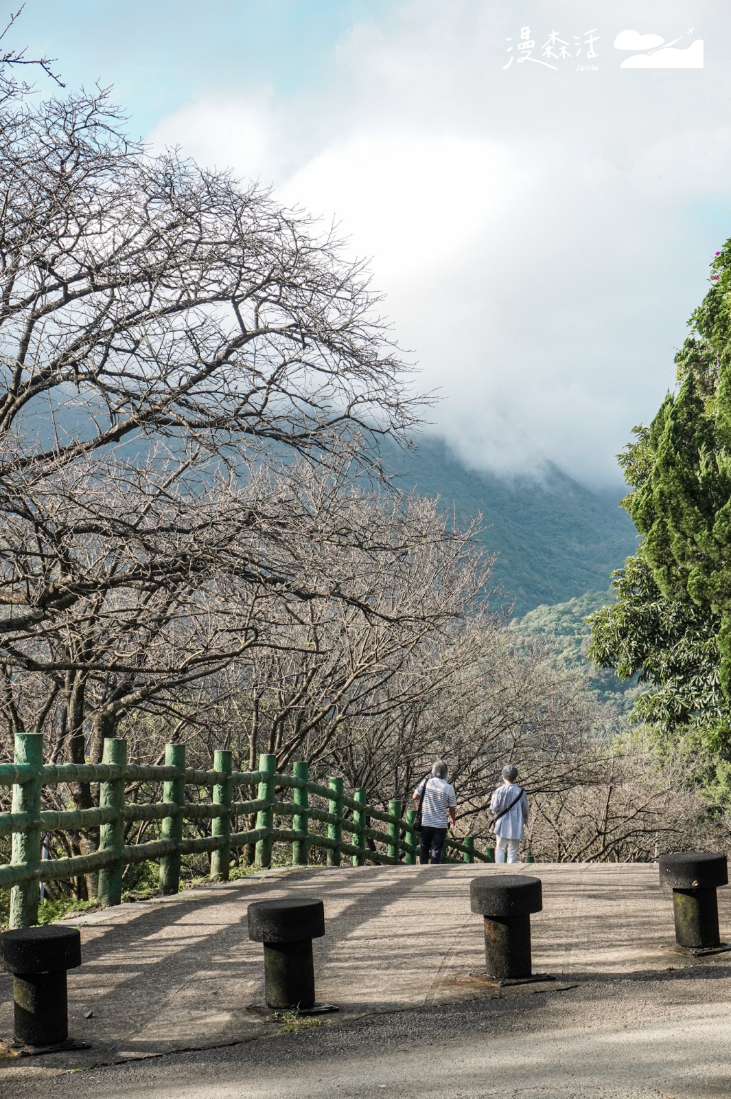 台北陽明山 前往陽明山花鐘步道 山間景色