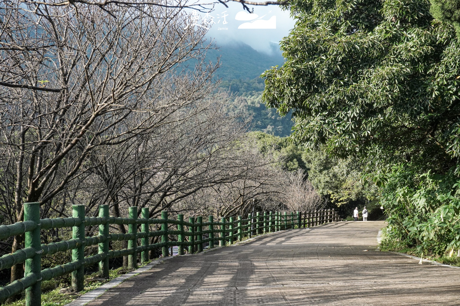 台北陽明山