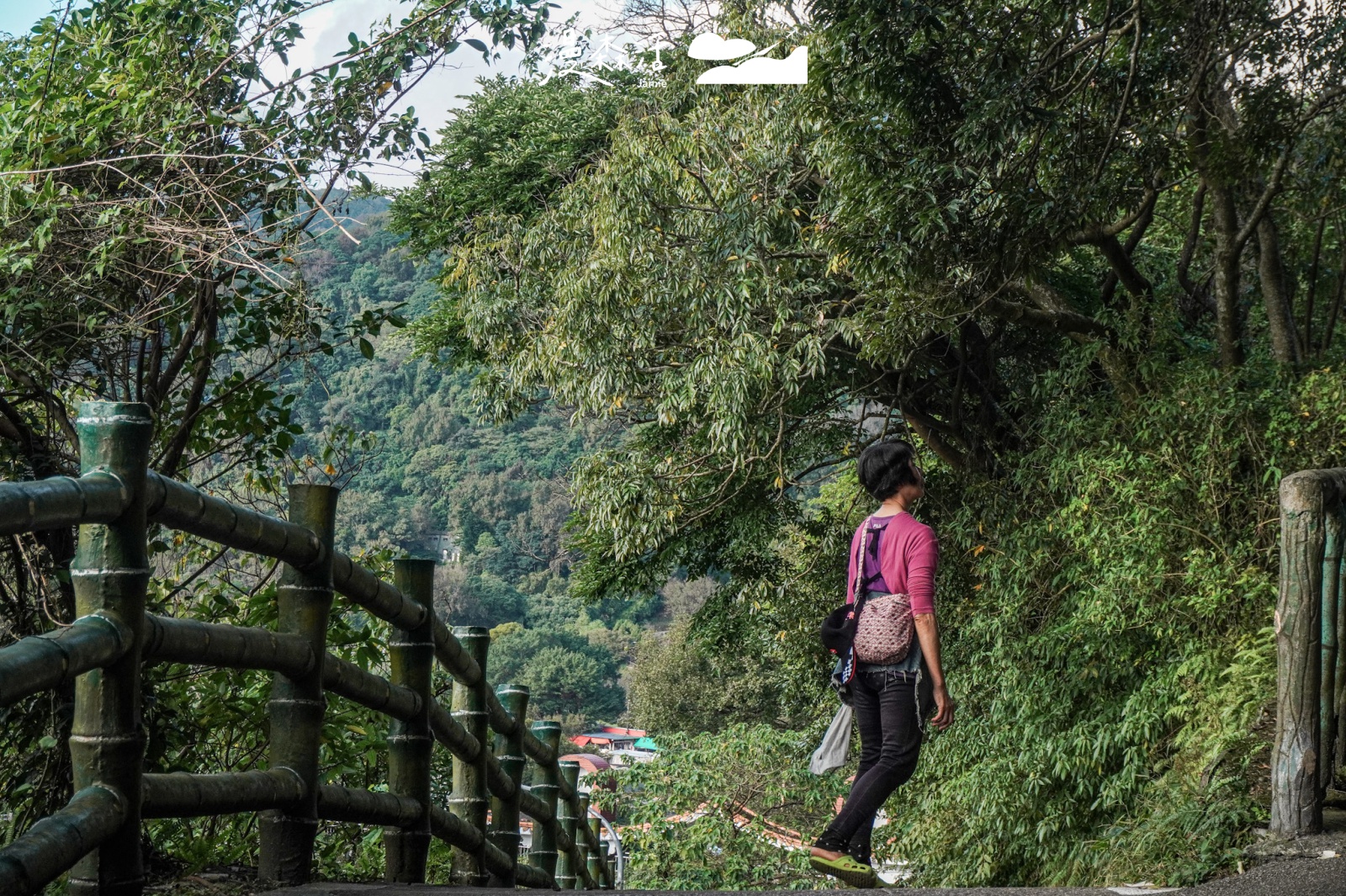 台北陽明山 前往陽明山花鐘步道