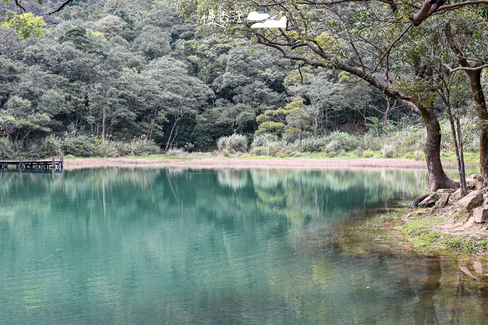 新北市汐止區｜新山夢湖