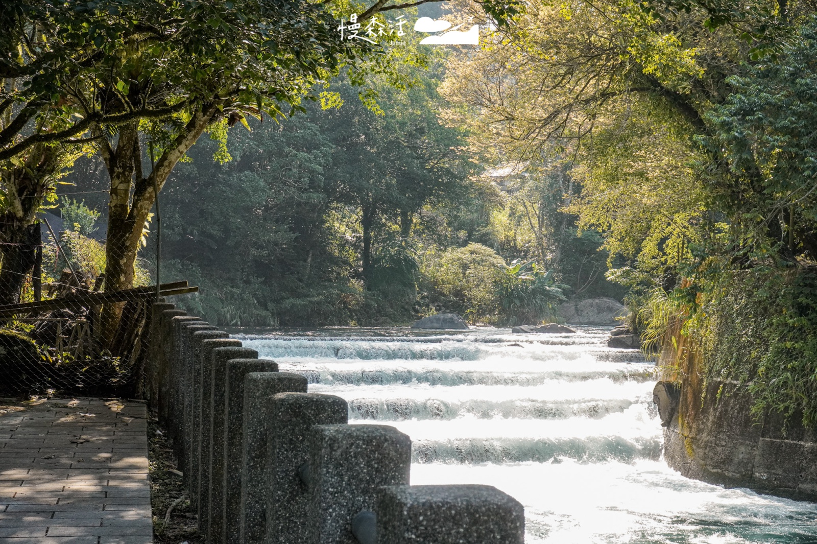 新北烏來區｜烏來蝴蝶公園