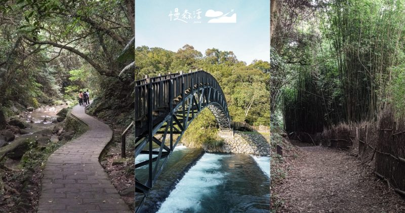 台北近郊步道！7條適合親子、長輩輕鬆健行山林推薦