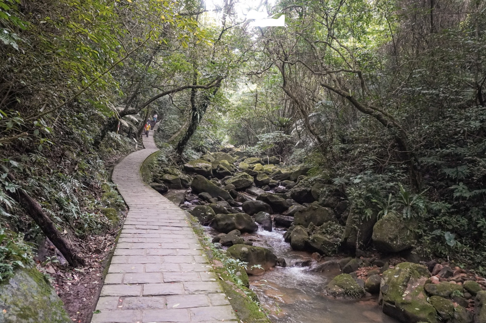 台北市內湖區｜圓覺瀑布