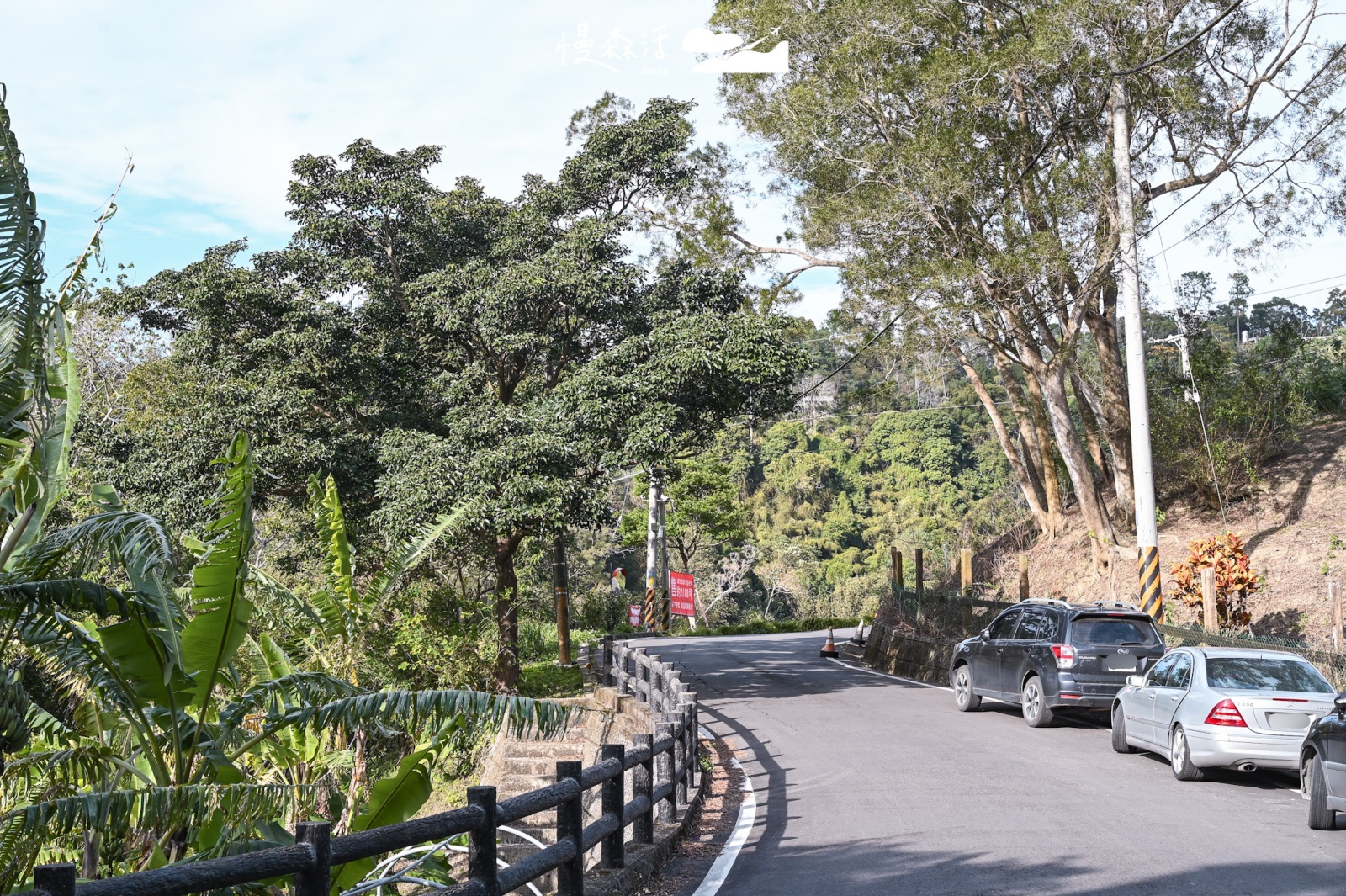 新竹縣北埔鄉 北埔六塘石柿餅-落羽松路邊暫停區