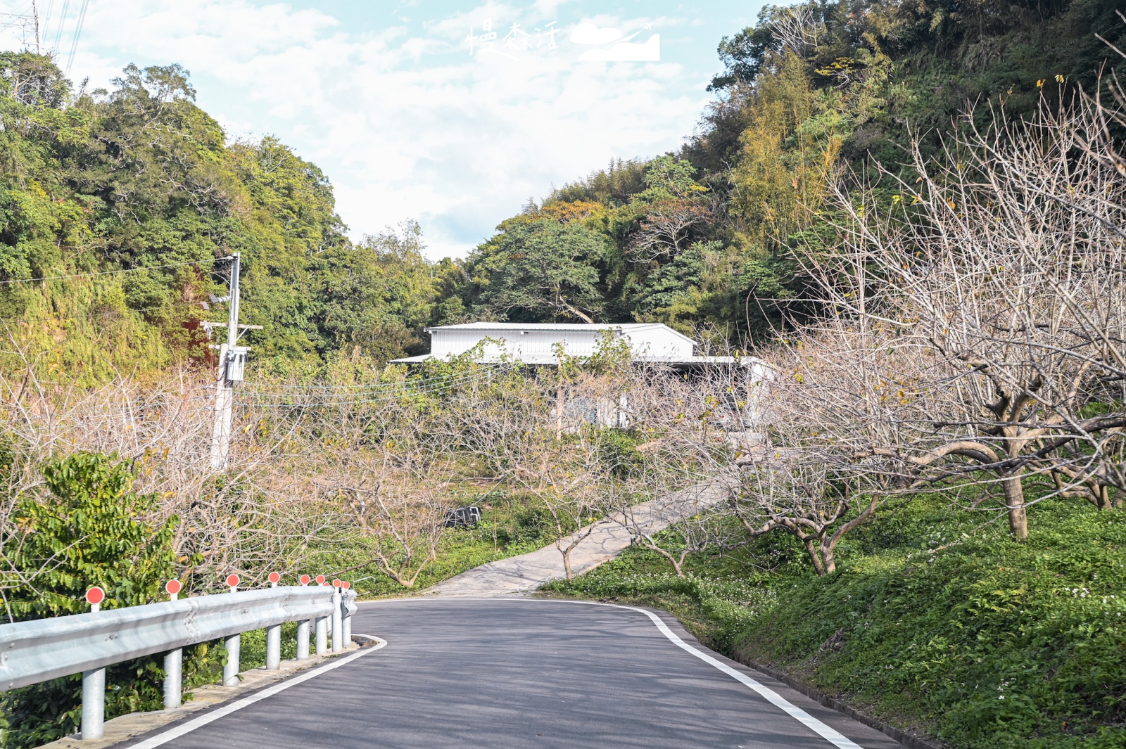 新竹縣 北埔鄉間道路