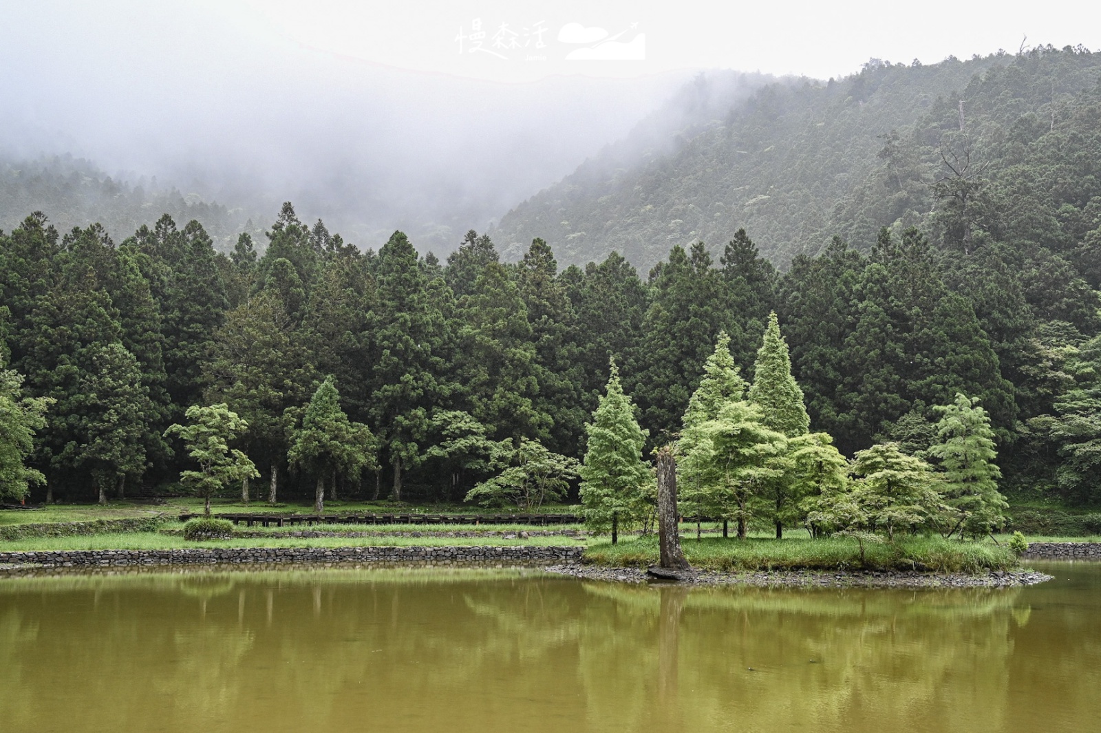 宜蘭縣大同鄉｜明池國家森林遊樂區