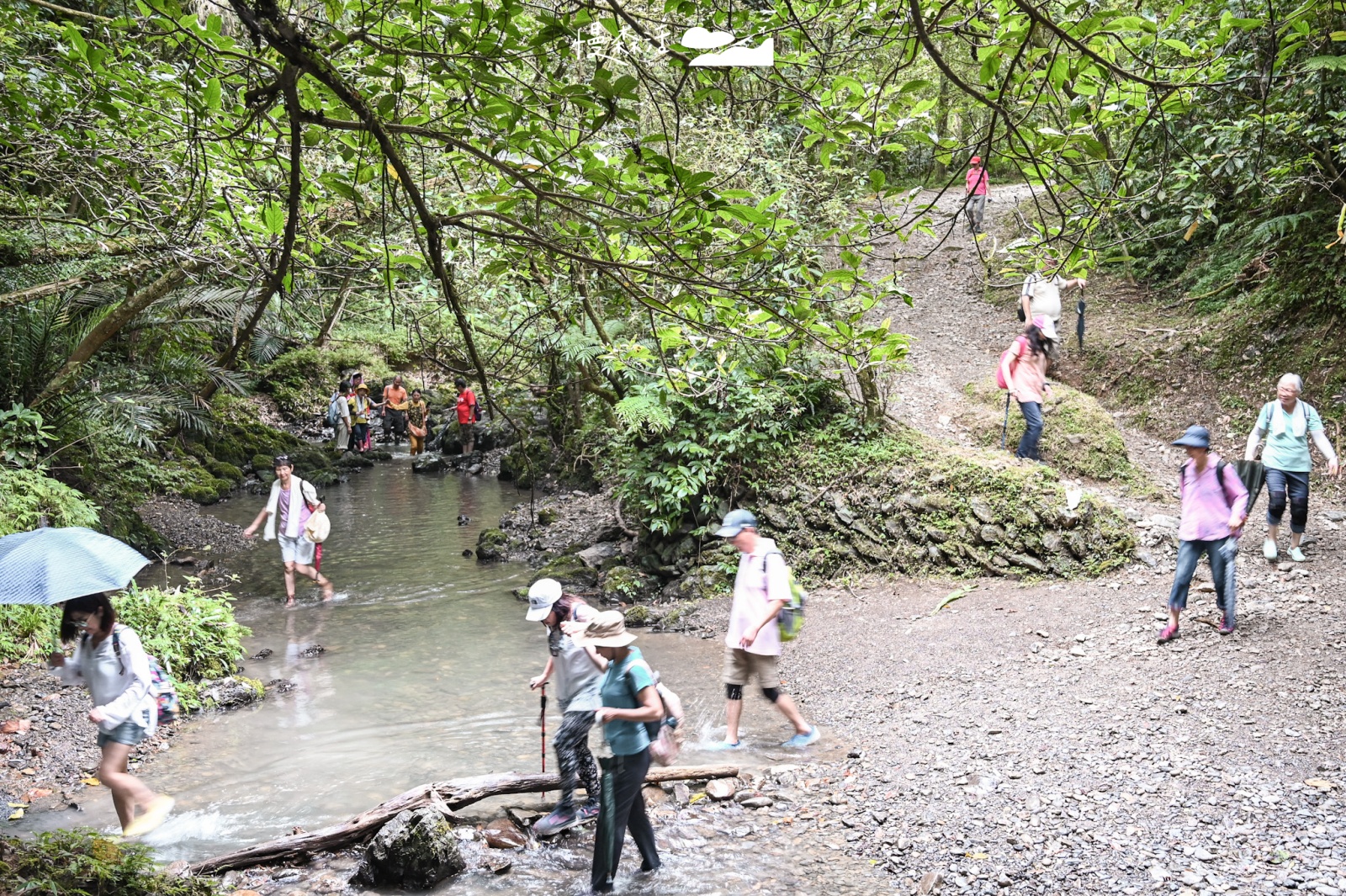 新北雙溪區｜坪溪古道