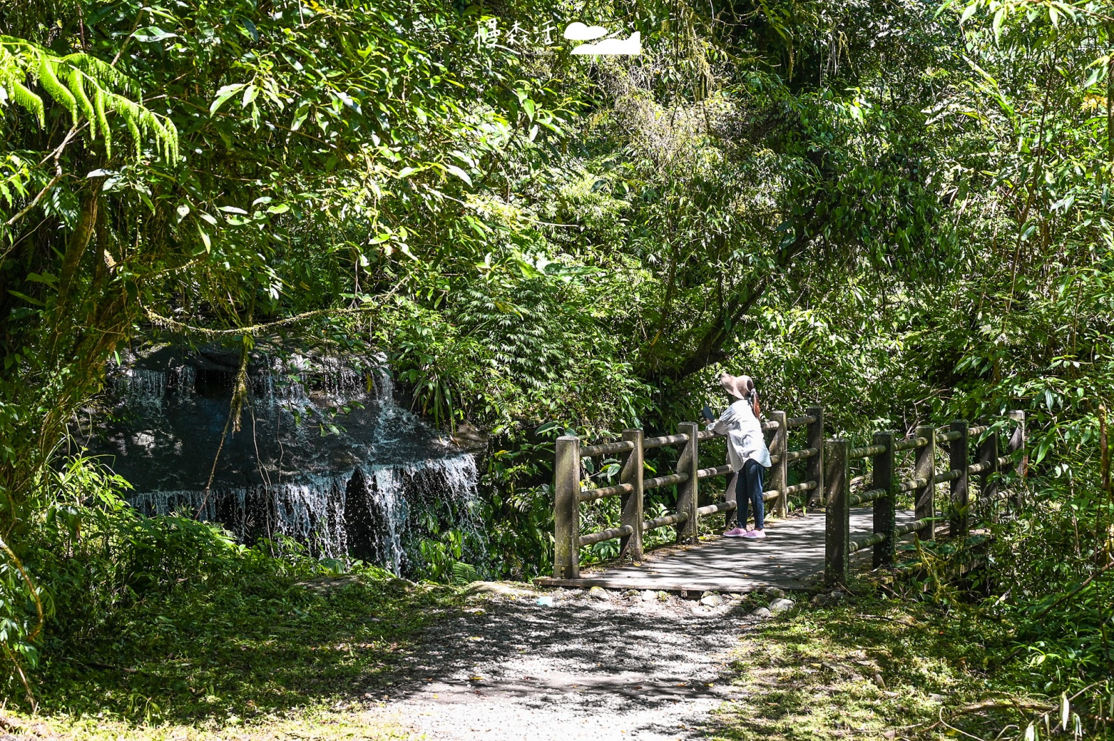 宜蘭大同鄉｜松羅國家步道