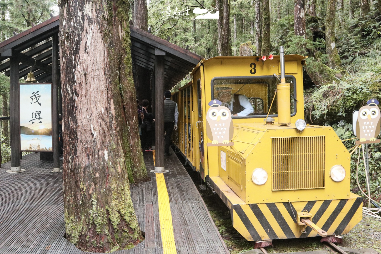 宜蘭大同鄉｜太平山國家森林遊樂區 蹦蹦車