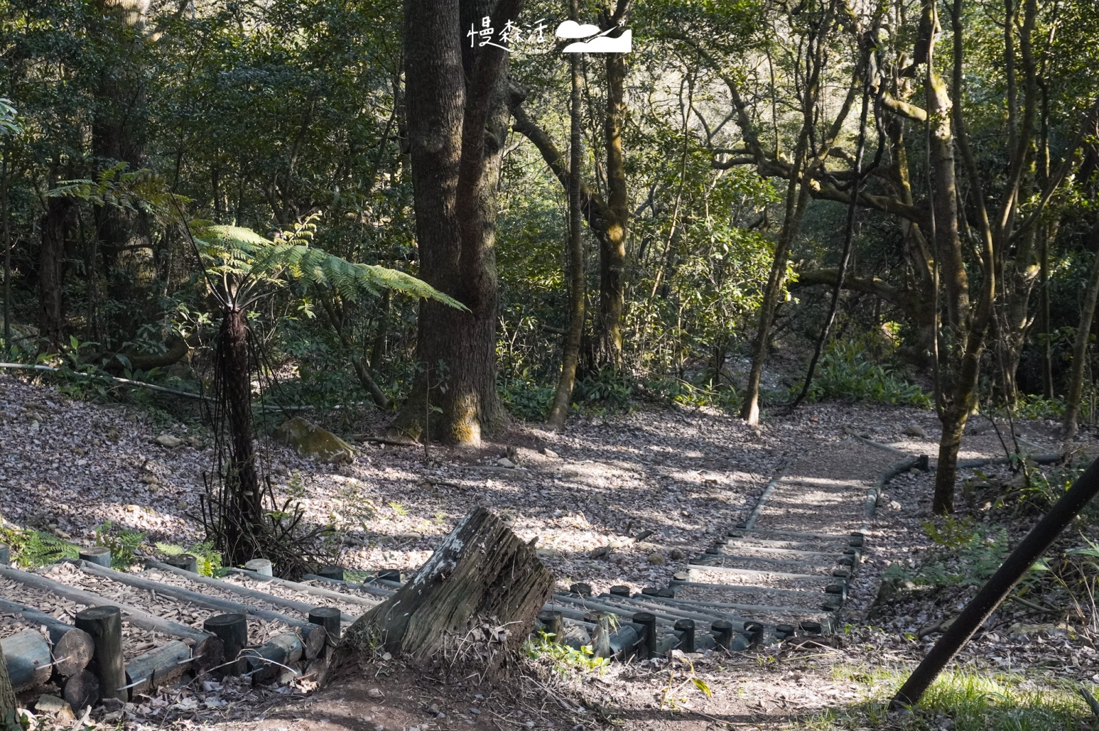 台北市北投區 陽明山「紫明溪步道」