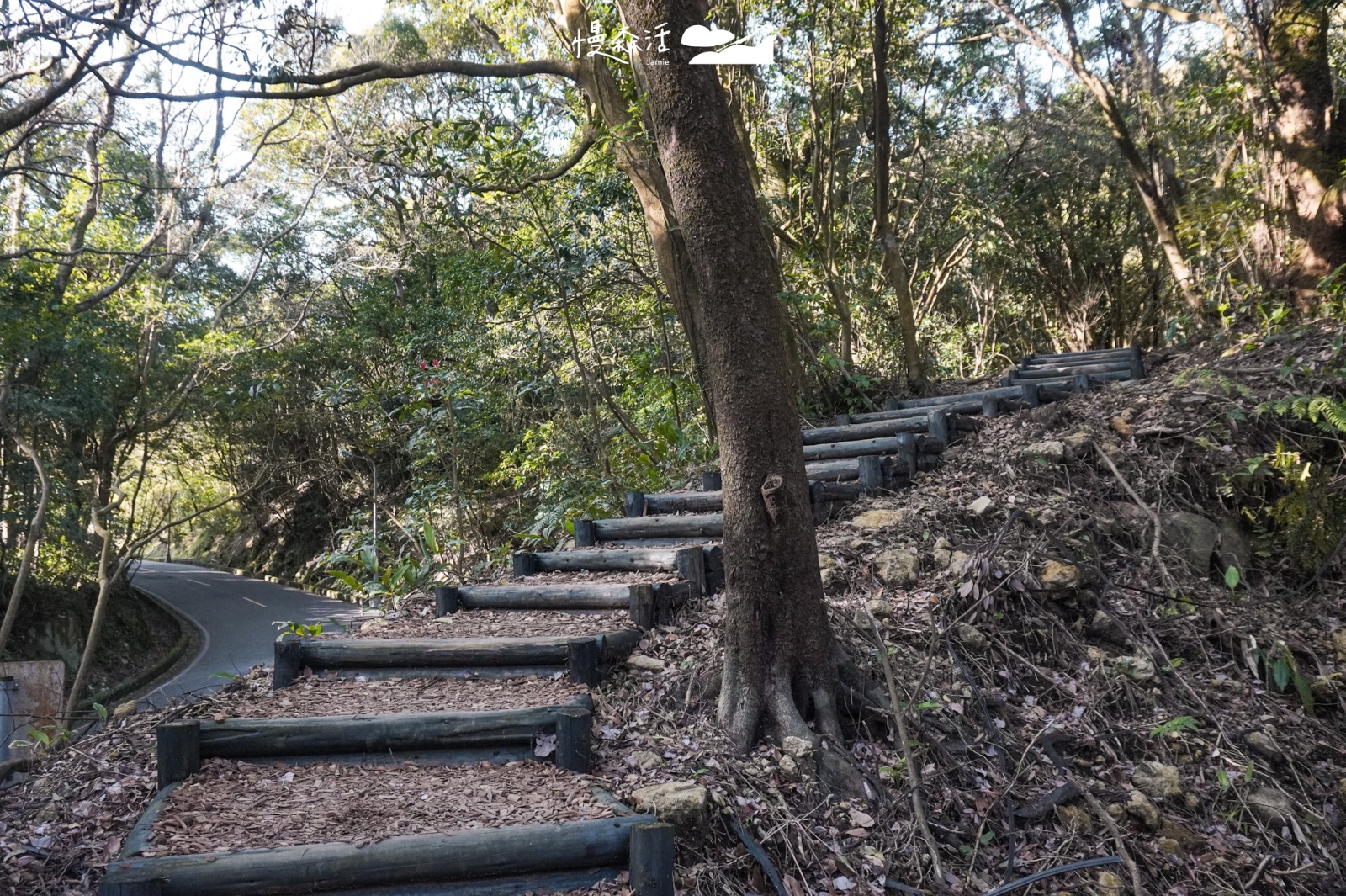 台北市北投區 陽明山「紫明溪步道」