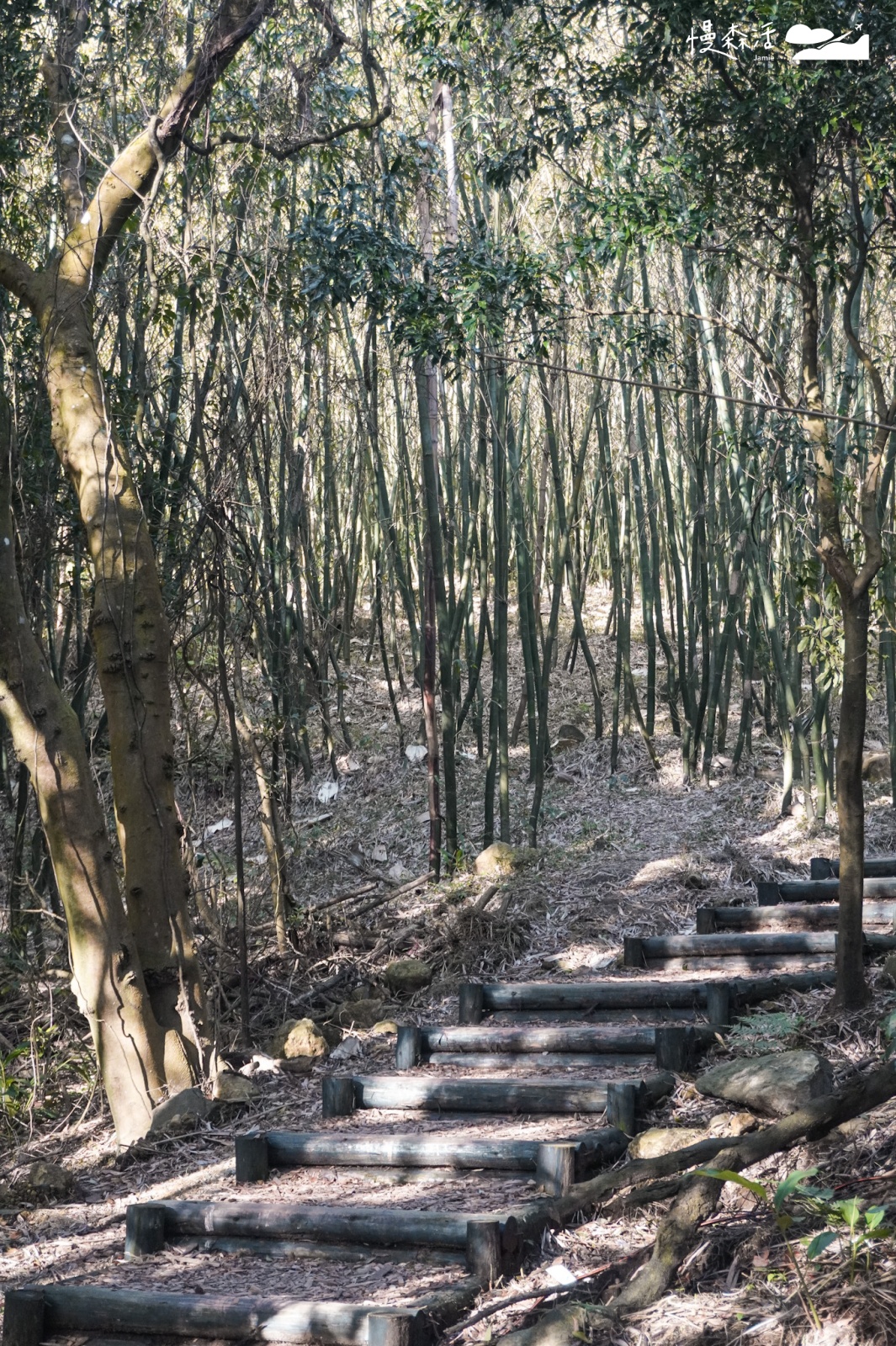 台北市北投區 陽明山「紫明溪步道」