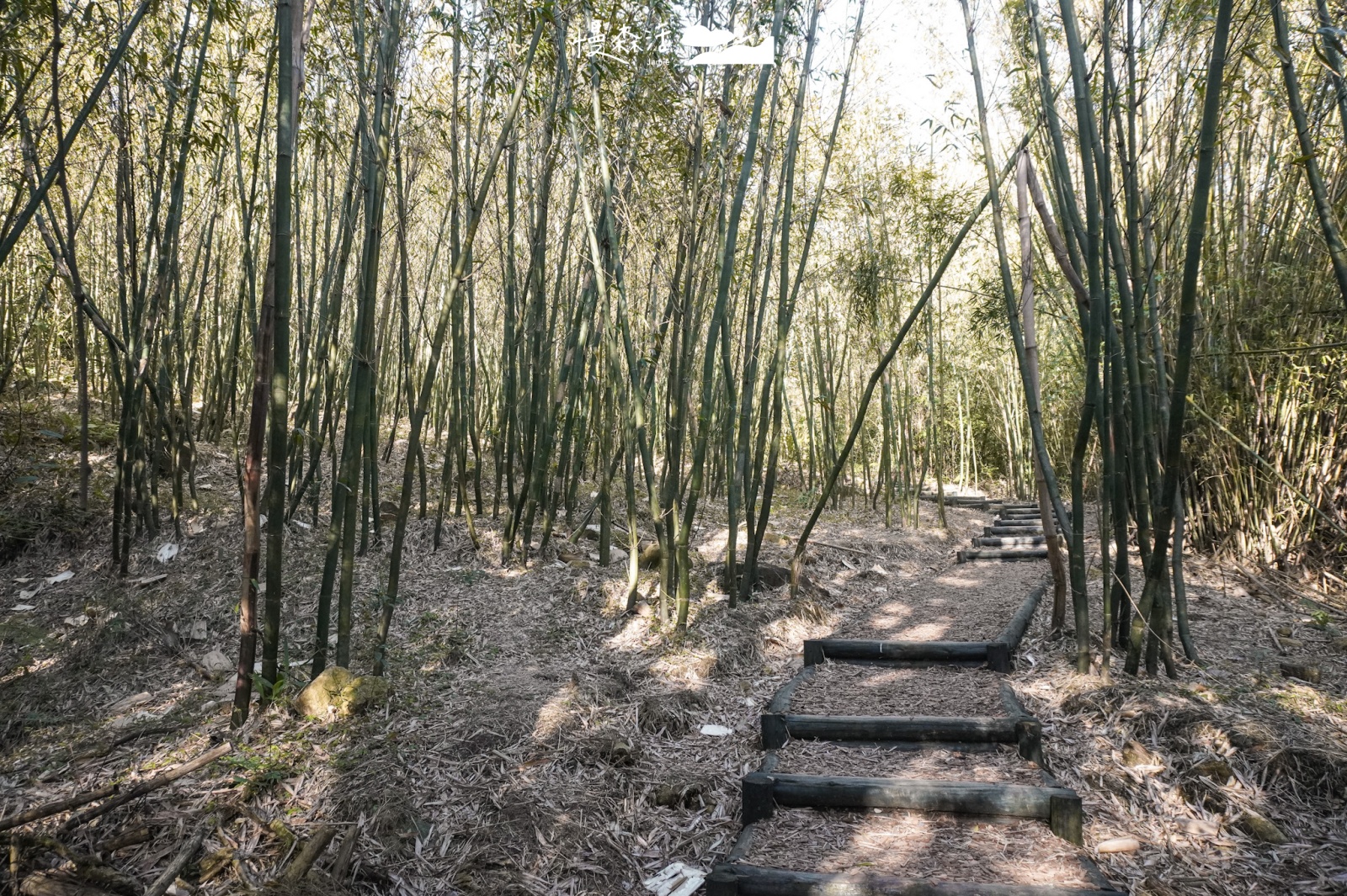 台北市北投區 陽明山「紫明溪步道」