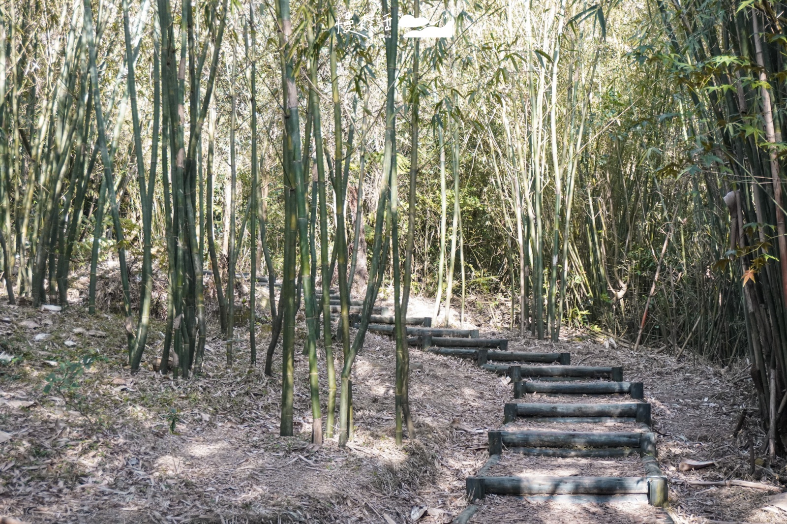 台北市北投區｜陽明山紫明溪步道