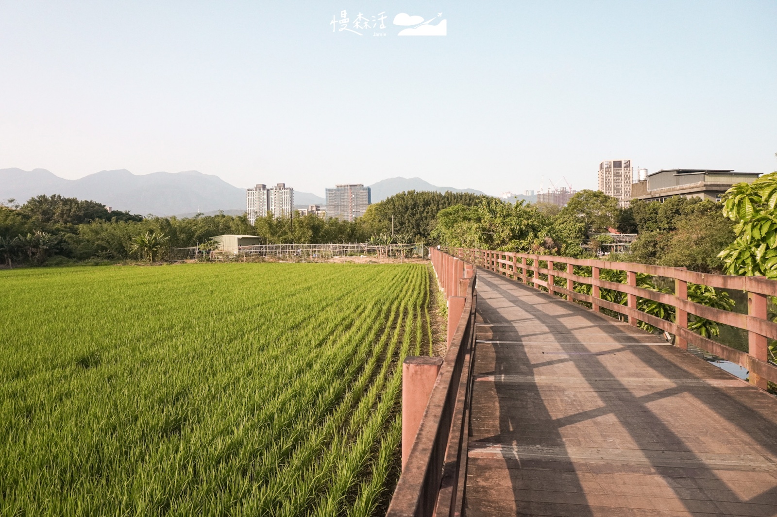 台北市北投區「舊雙溪河步道」田野區