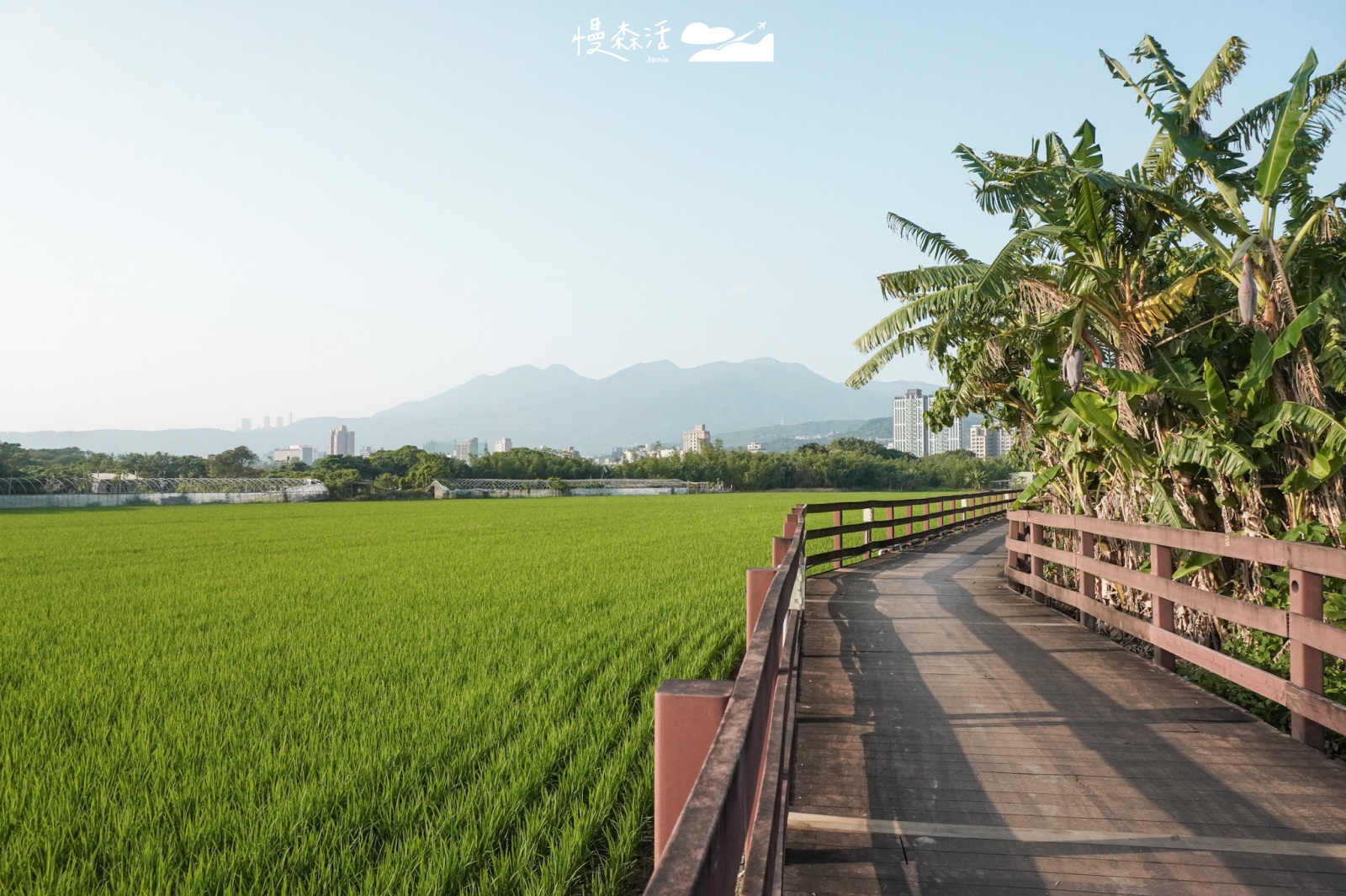 台北城市秘境！舊雙溪河步道可健行騎腳踏車景點