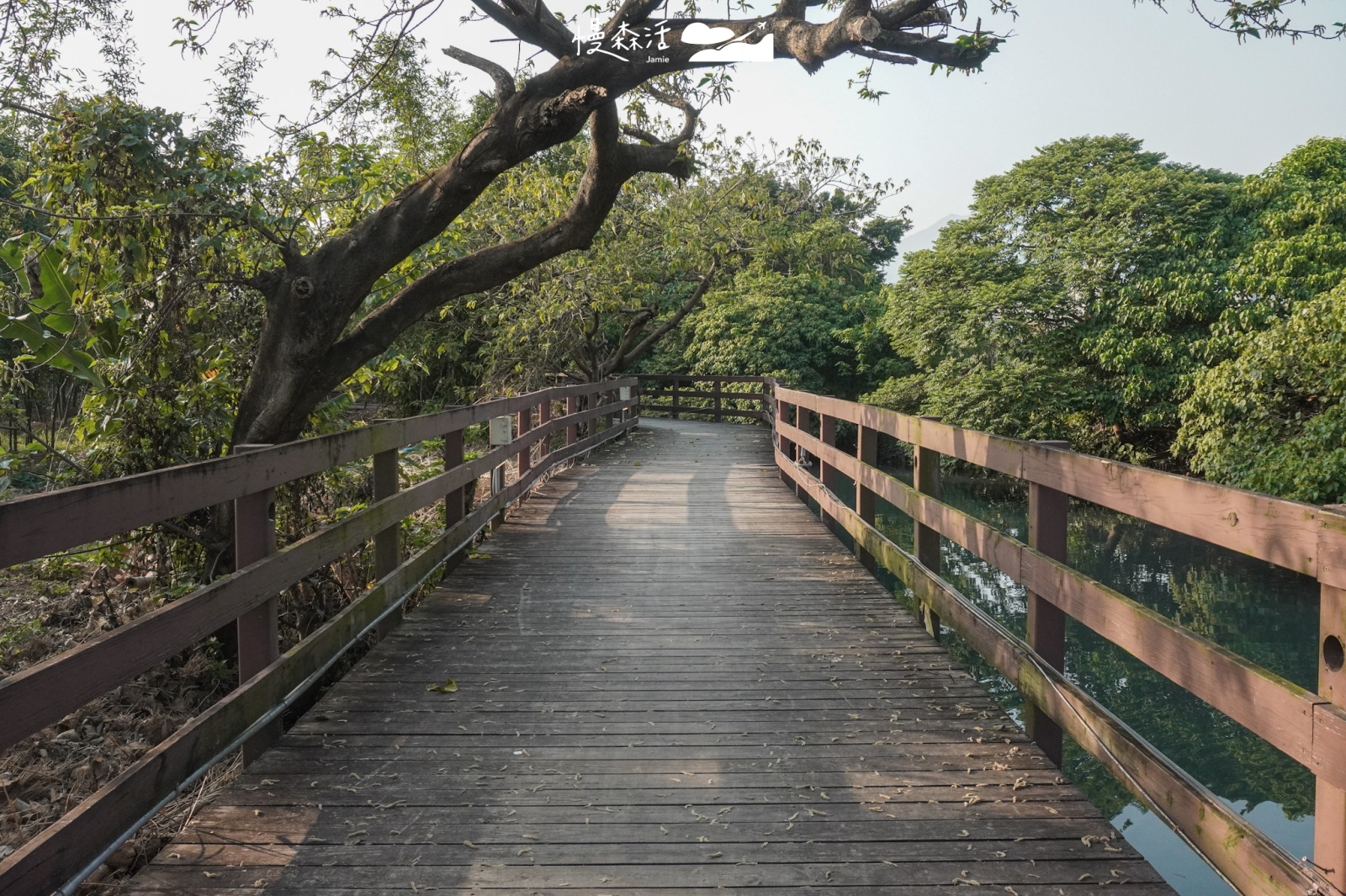 台北市北投區「舊雙溪河步道」