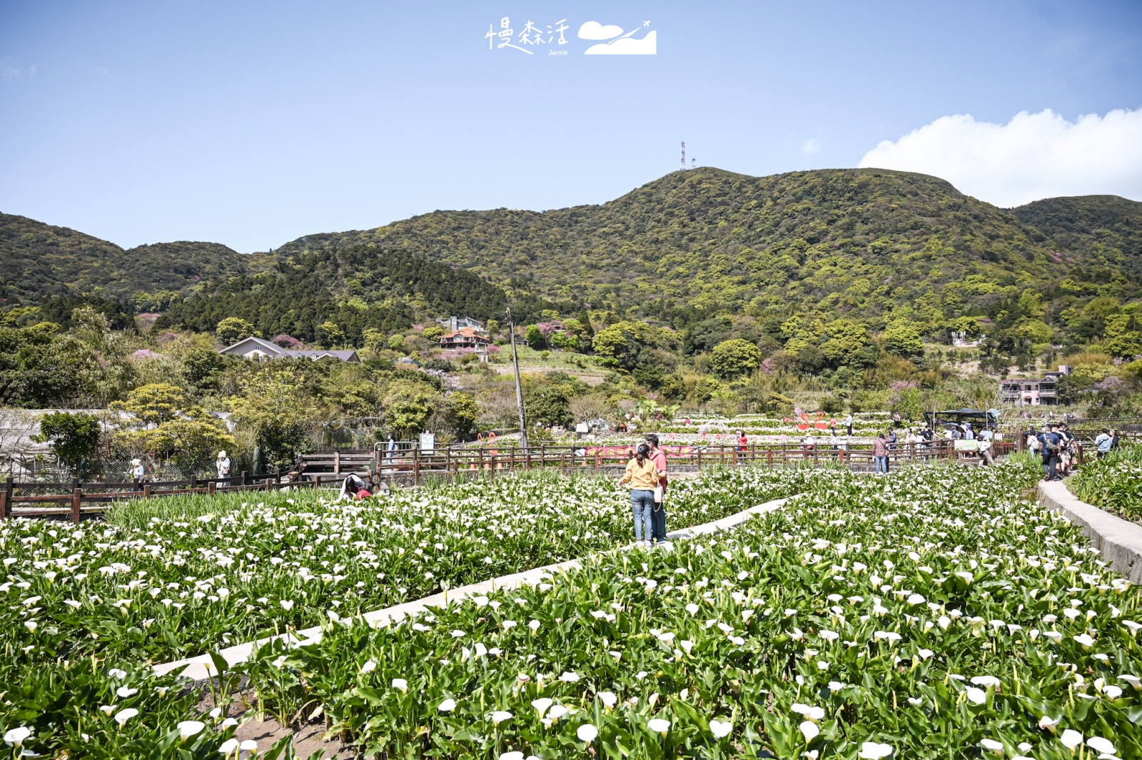 台北市北投區｜陽明山竹子湖