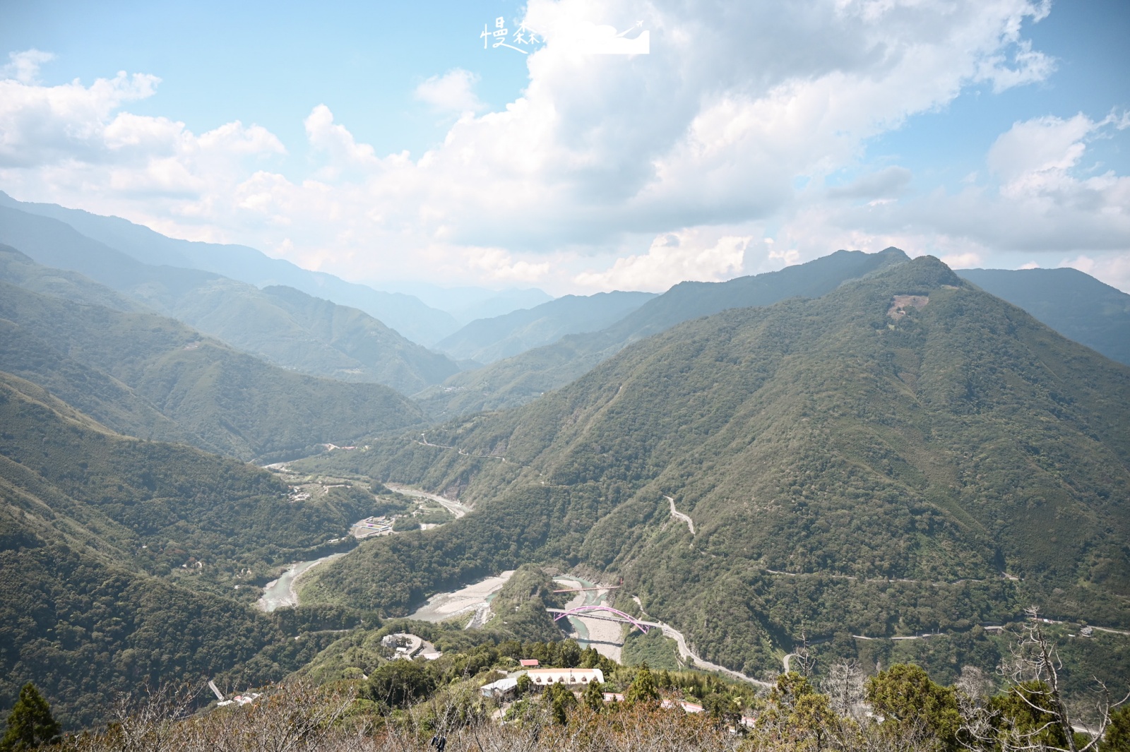 拉拉山國家森林遊樂區開園！至9月底入園半票優惠