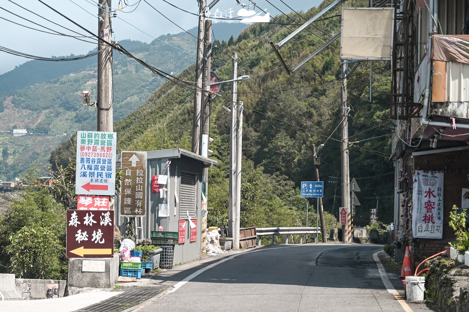 桃園復興鄉 前往「拉拉山國家森林遊樂區」巨木群