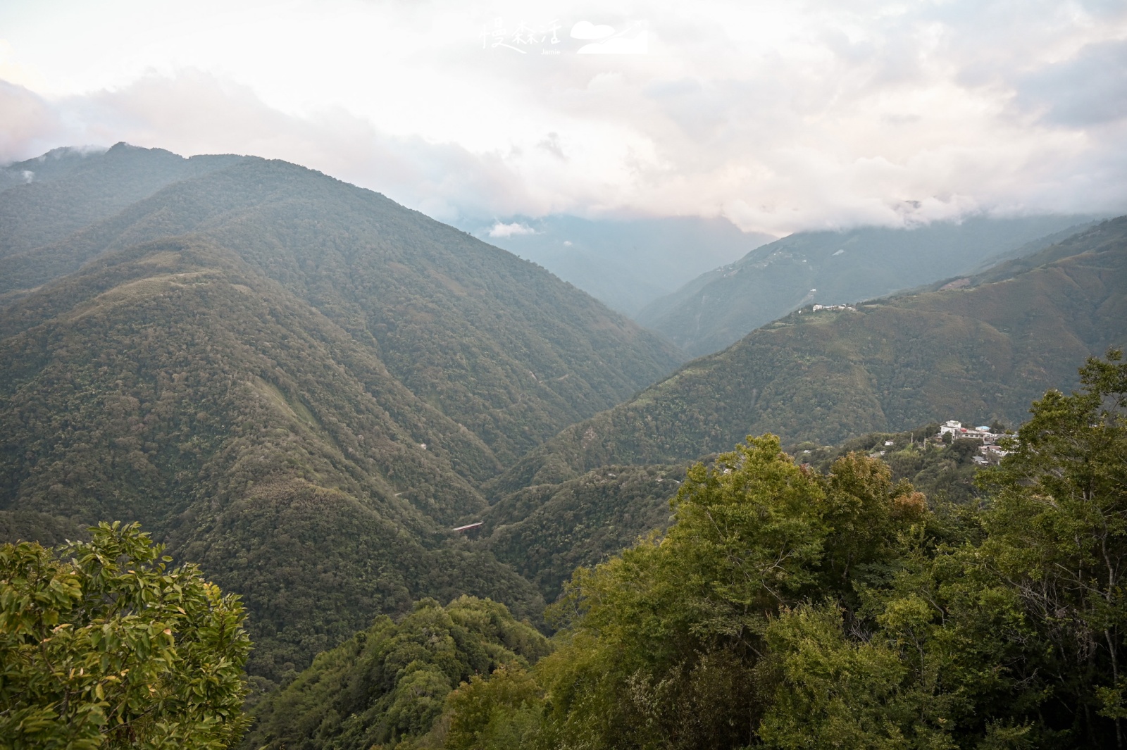 桃園復興鄉「拉拉山國家森林遊樂區」