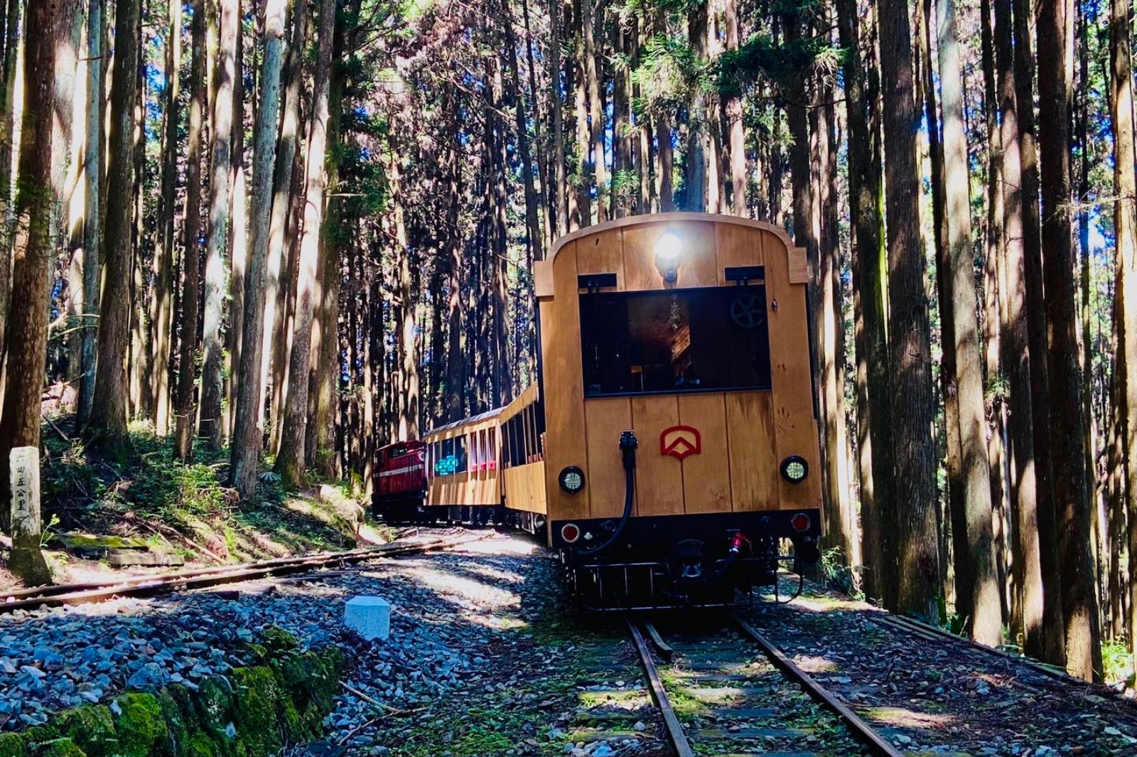 阿里山林鐵「福森號」試車，順遊嘉義好吃好玩景點