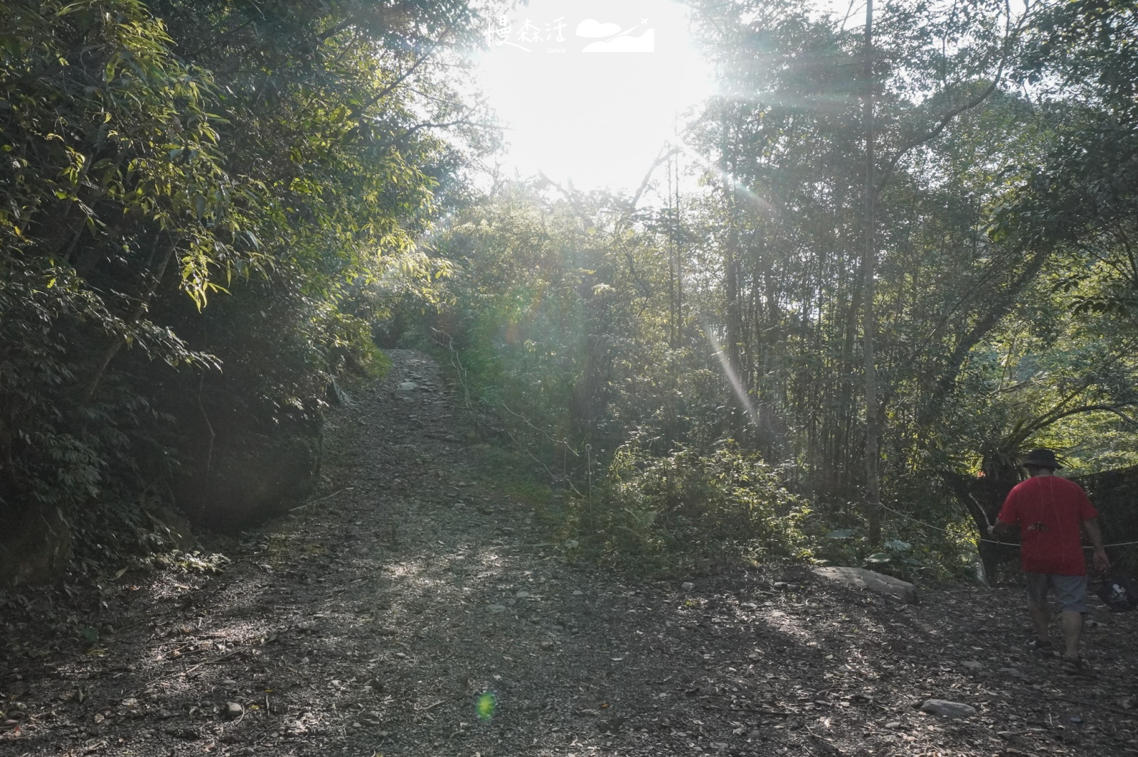 新北市烏來區福山部落 烏來蝴蝶公園