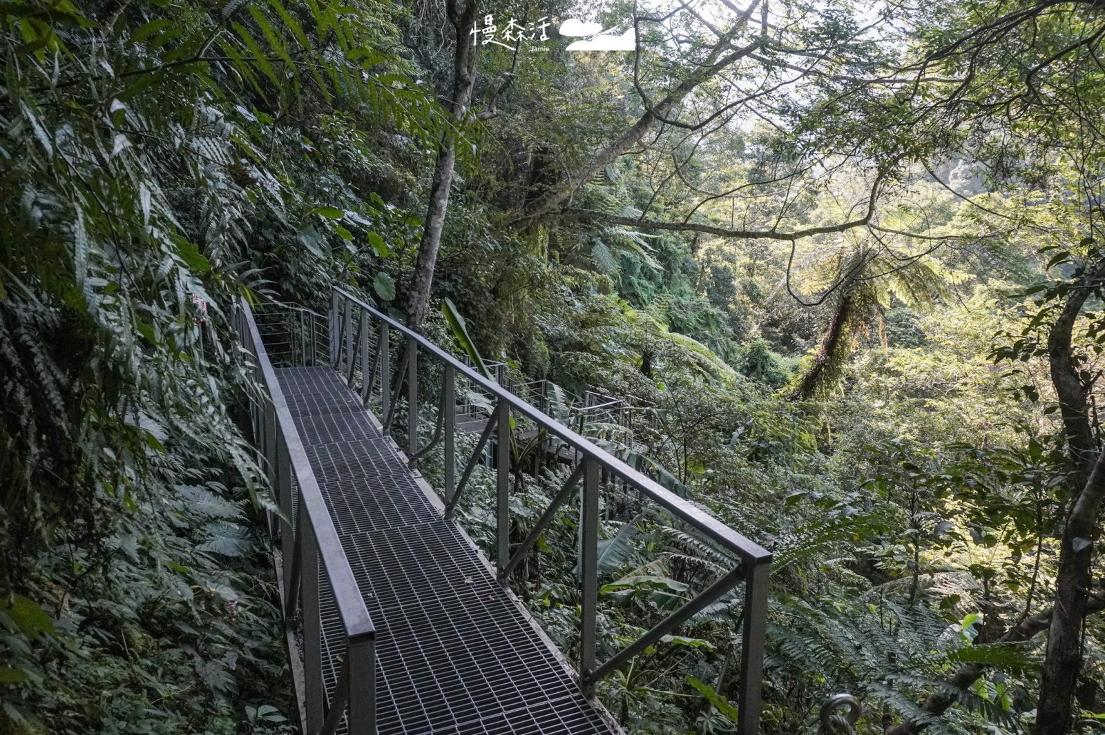 新北烏來蝴蝶公園 原始山林健行步道