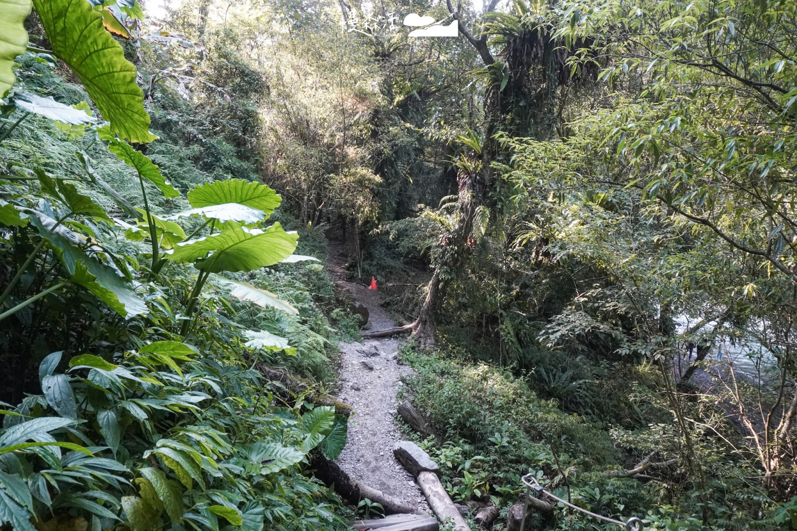 新北烏來蝴蝶公園 原始山林健行步道