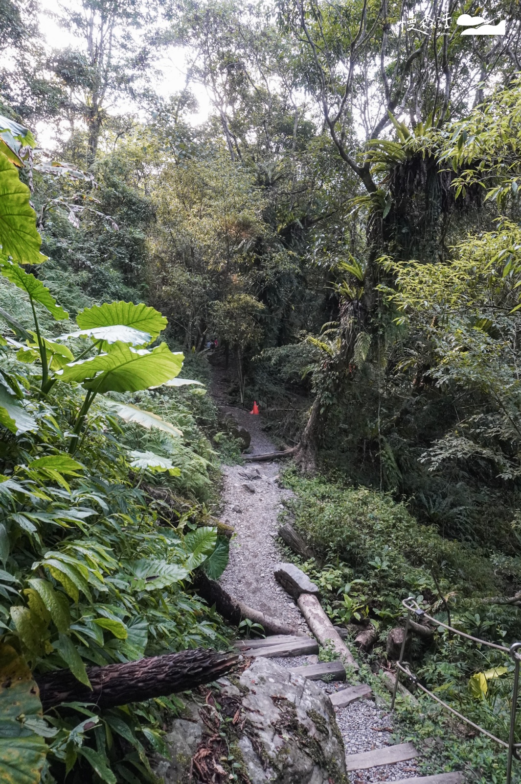 新北市烏來區福山部落 烏來蝴蝶公園 原始山林步道