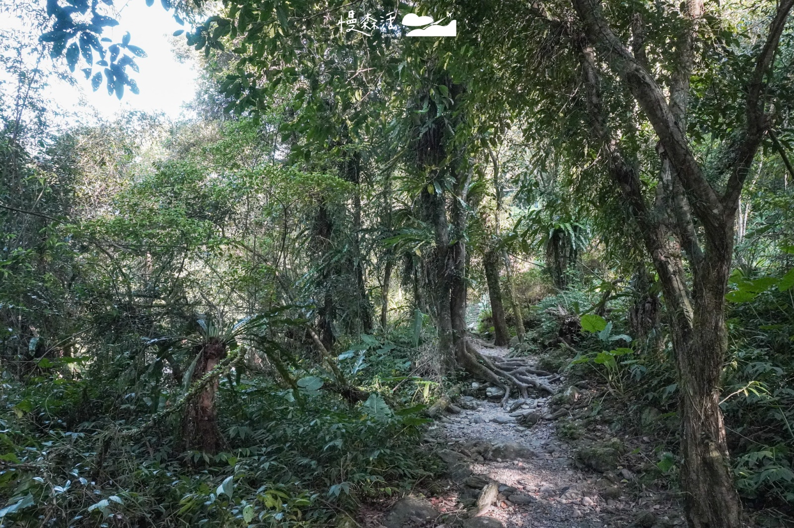 新北市烏來區福山部落 烏來蝴蝶公園 原始山林步道