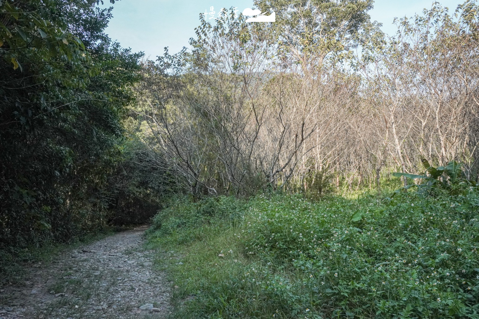 新北市烏來區福山部落 前往烏來蝴蝶公園山徑