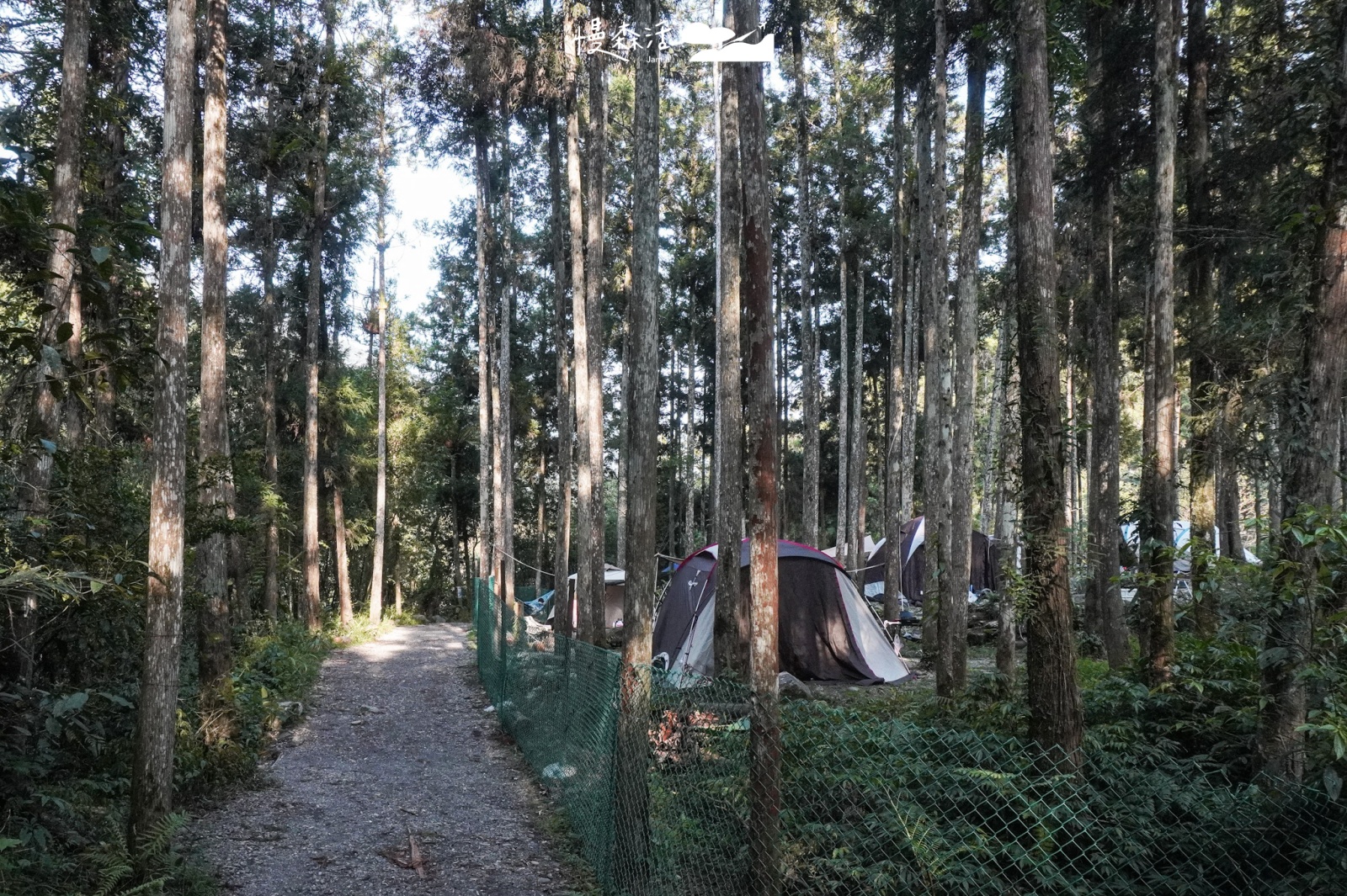 新北市烏來區福山部落 福山達卡露營區