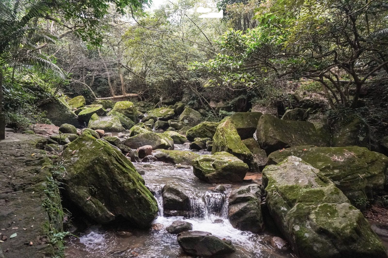台北市內湖區 圓覺瀑布步道 綠色生態