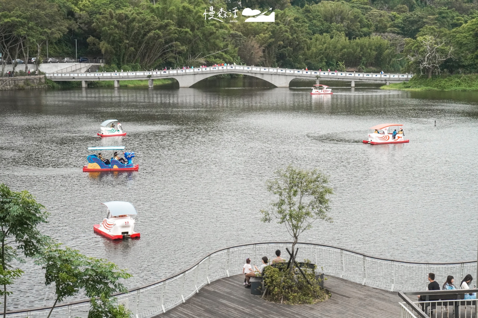 新竹市青草湖 4月26日起重新開放踩踏天鵝船、SUP水上活動