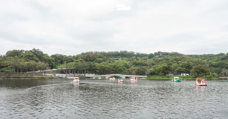 新竹青草湖！水上體驗SUP 天鵝船，腳踏車環湖樂趣