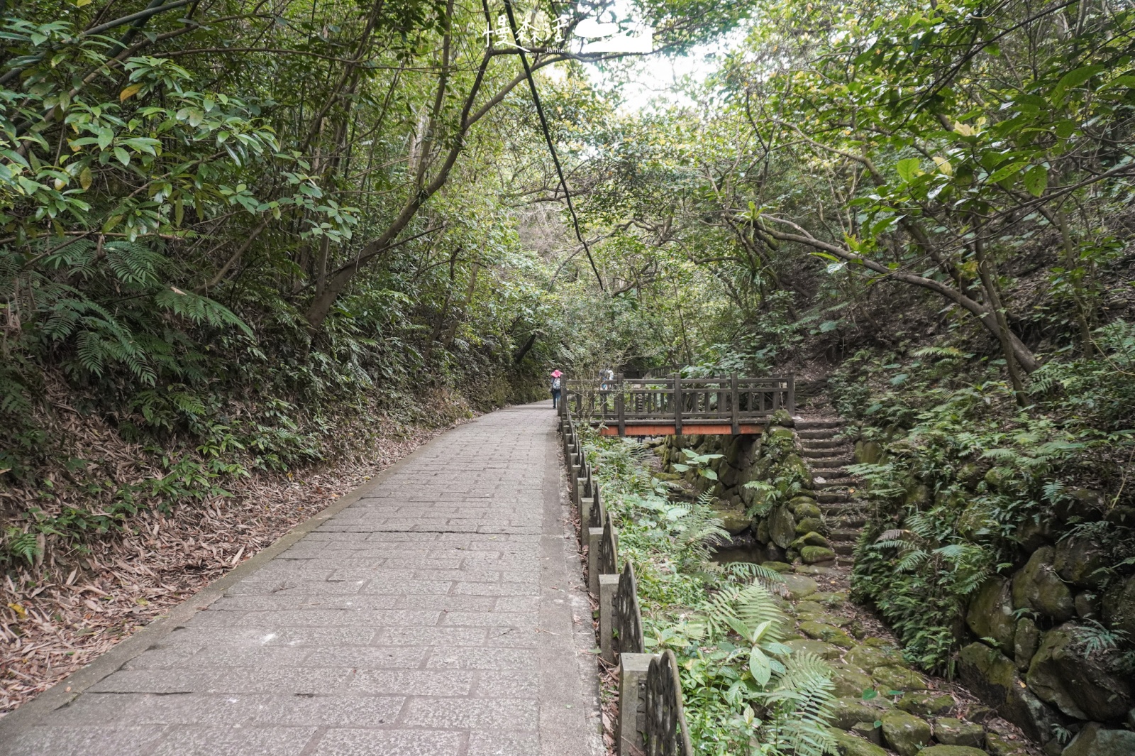 台北市信義區 虎山溪步道